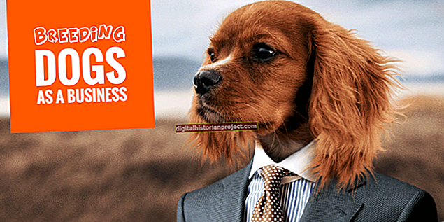 Paano Magsimula ng Isang Business Breeding Dogs